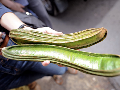 Pacay Fruit in Cusco Peru - Pacay Fruit in Cusco Peru