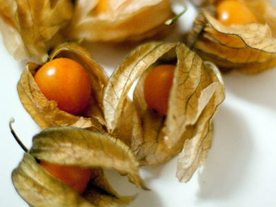Aguaymanto berries Aguaymanto berries - Aguaymanto berries