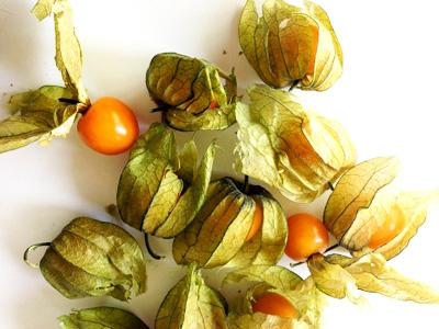 Aguaymanto berry, or Peruvian Picchuberry Aguaymanto berry, or Peruvian Picchuberry - Aguaymanto berry, or Peruvian Picchuberry