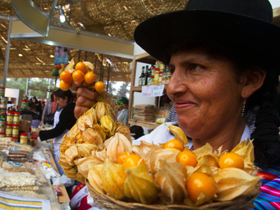 Aguaymanto, or Peruvian Picchuberry - Woman in market offering aguaymanto berries.